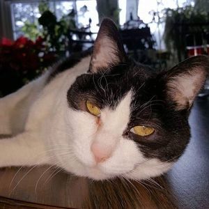 Meet your Posher, Carol